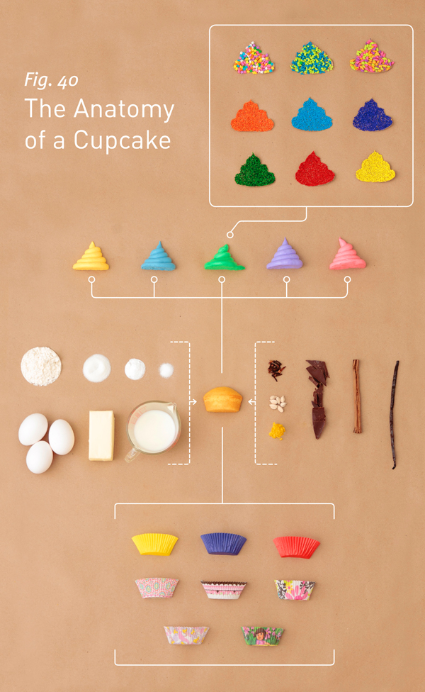 cupcakeAnatomy_v03