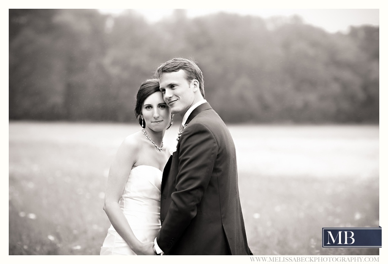 bride and groom portraits in a field