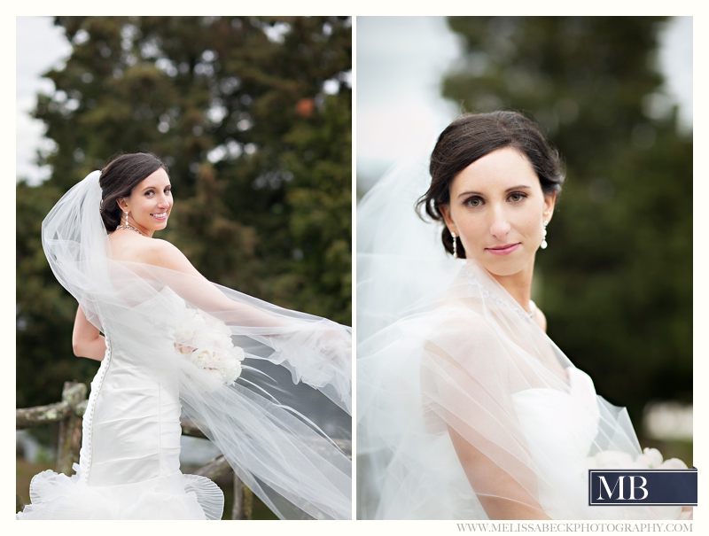 bride with long veil